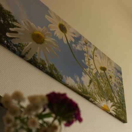 Pelikan Aleksandrów Łódzki Buitenkant foto