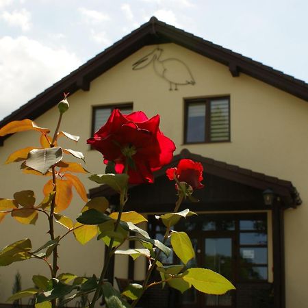 Pelikan Aleksandrów Łódzki Buitenkant foto