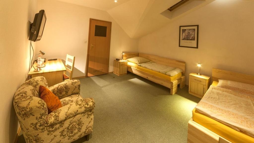 Pelikan Aleksandrów Łódzki Kamer foto
